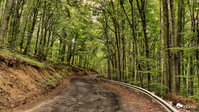 Fárasztó emelkedő
