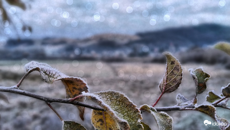 Kissé fagyos reggel