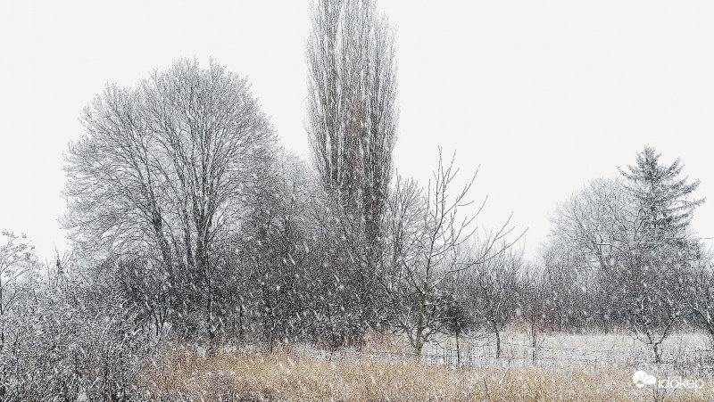 A nagy délelőtti havazás