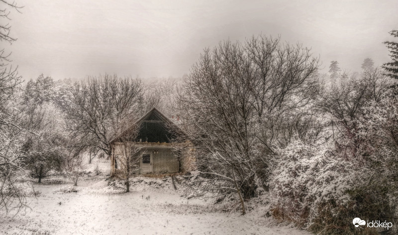 Egy - fal - nélkül