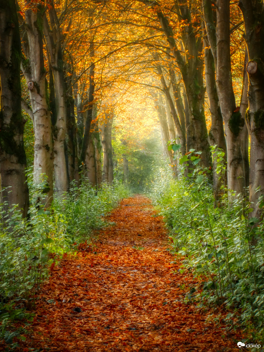 Itt az ősz