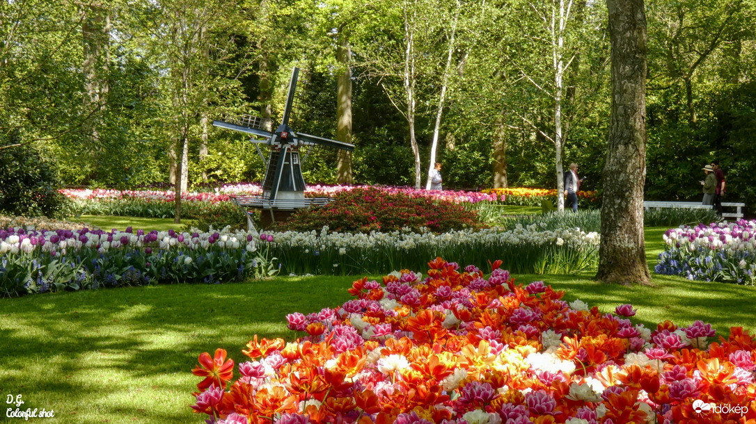 Keukenhof