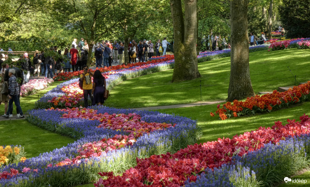 Keukenhof