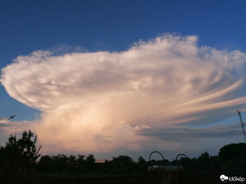 Észlelési fényképek