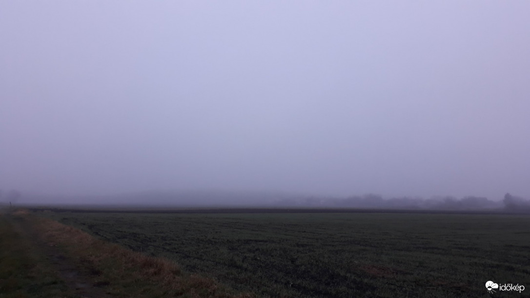 Egy ködös reggelen...