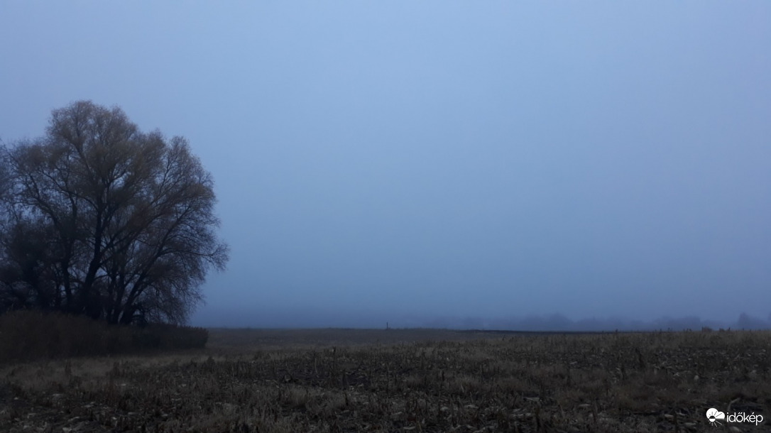 Egy ködös reggelen...