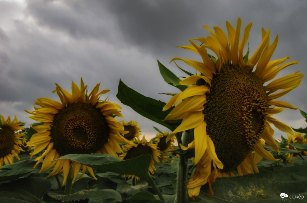 Szomorú időben is vidáman