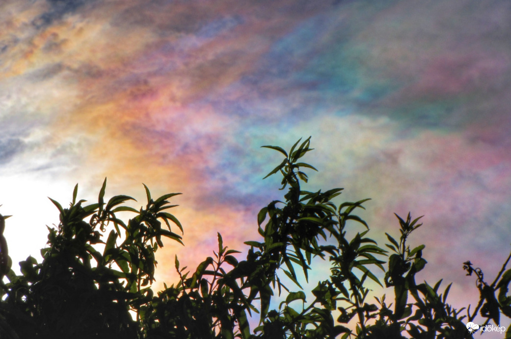 Napkoszorú a Szigetközben!