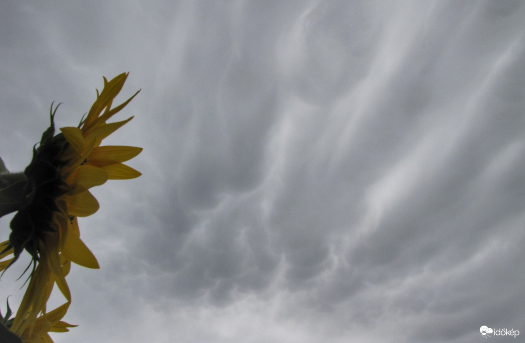 Mammatus felhőkkel vonult el a hidegfront!