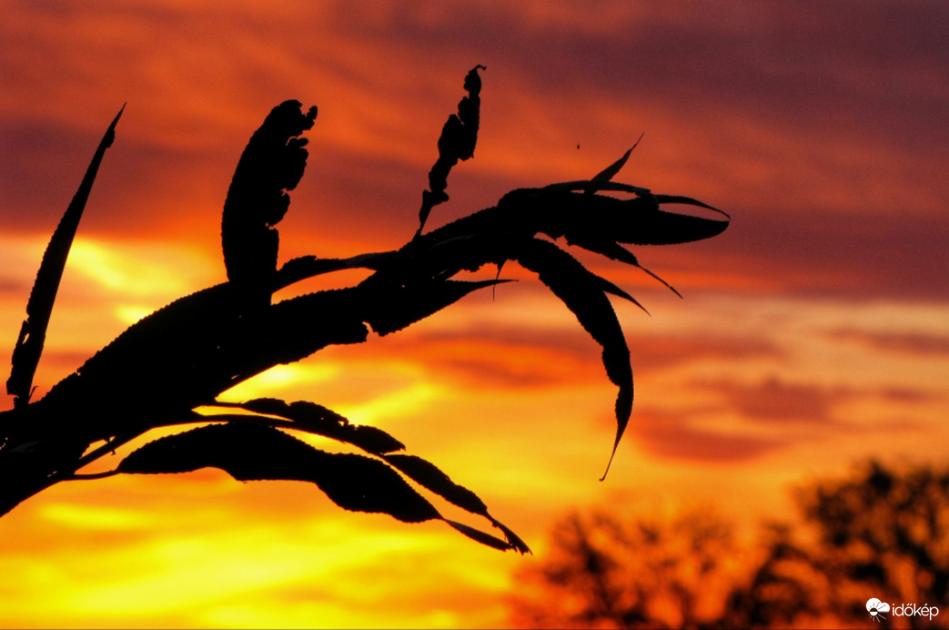 Lángolás a napnyugtában!