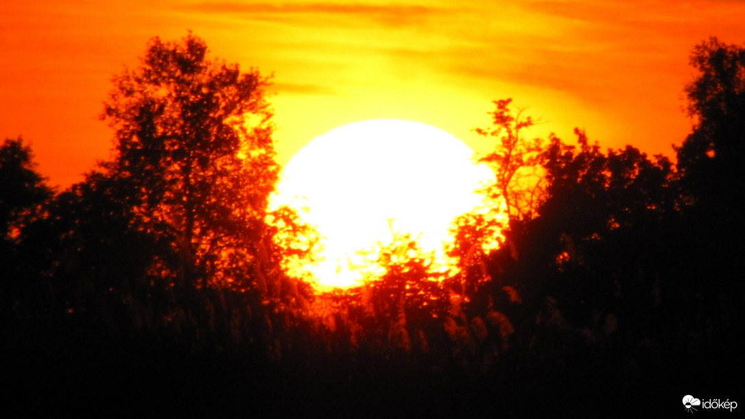 Napkorongos búcsúzás