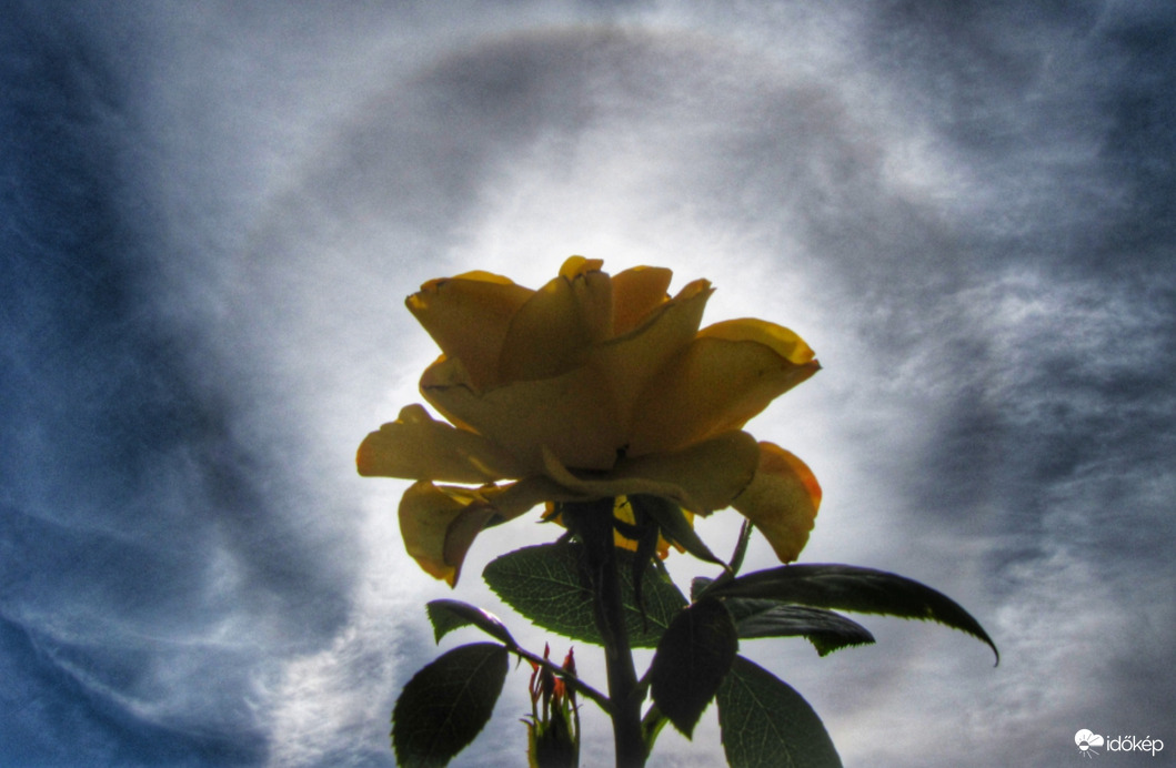 Naphaló a Szigetközben!