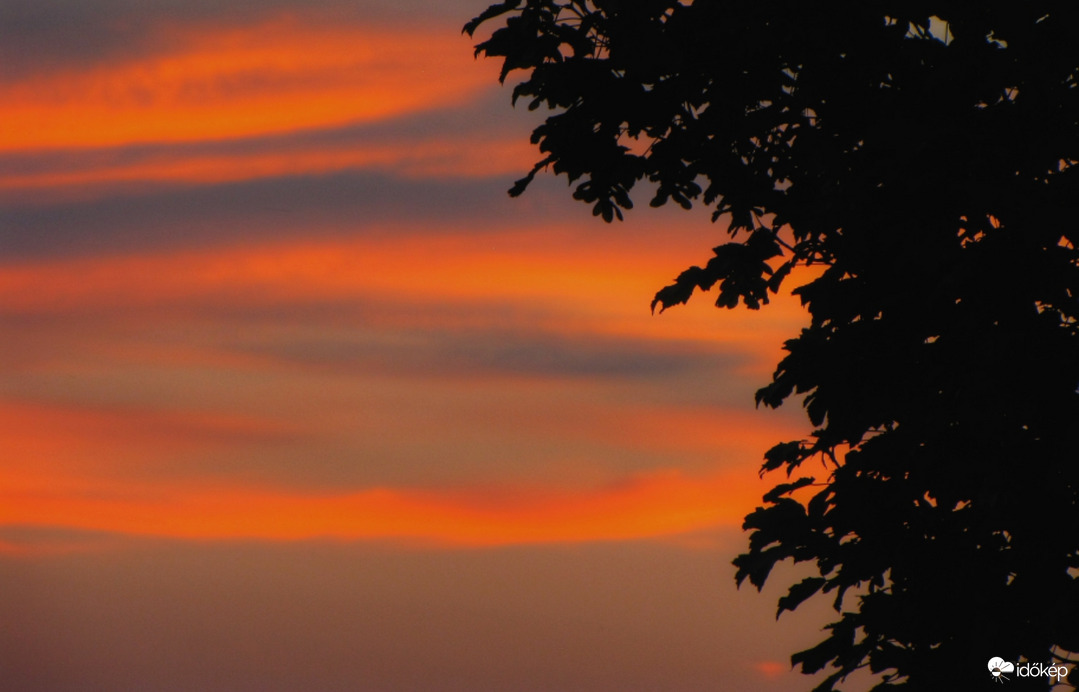 Ecsetvonások a naplementében!