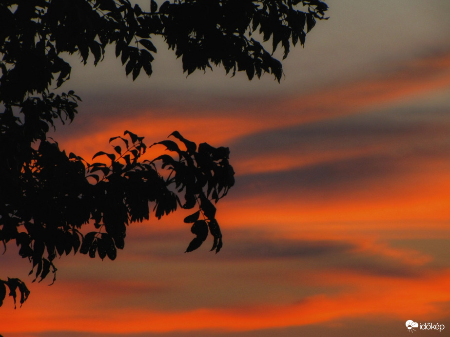 Ecsetvonások a naplementében!