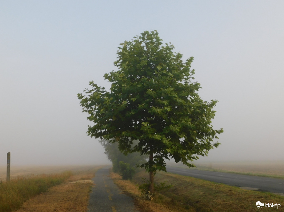 Rég nem látott vendég, köd érkezett hozzánk!