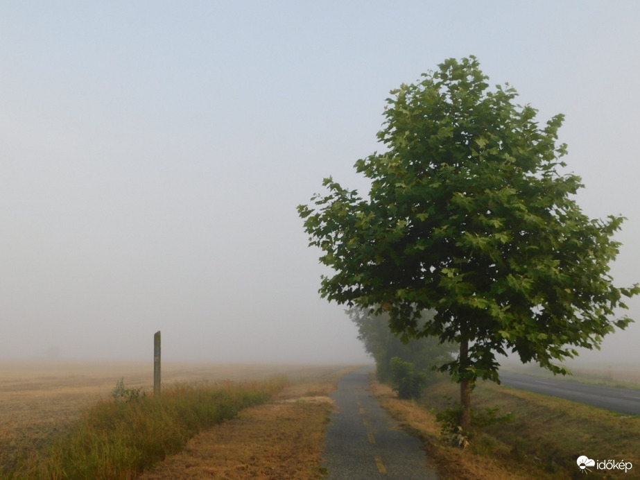 Rég nem látott vendég, köd érkezett hozzánk!