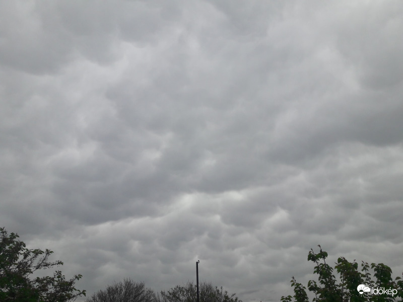 Mammatus Császár felett!