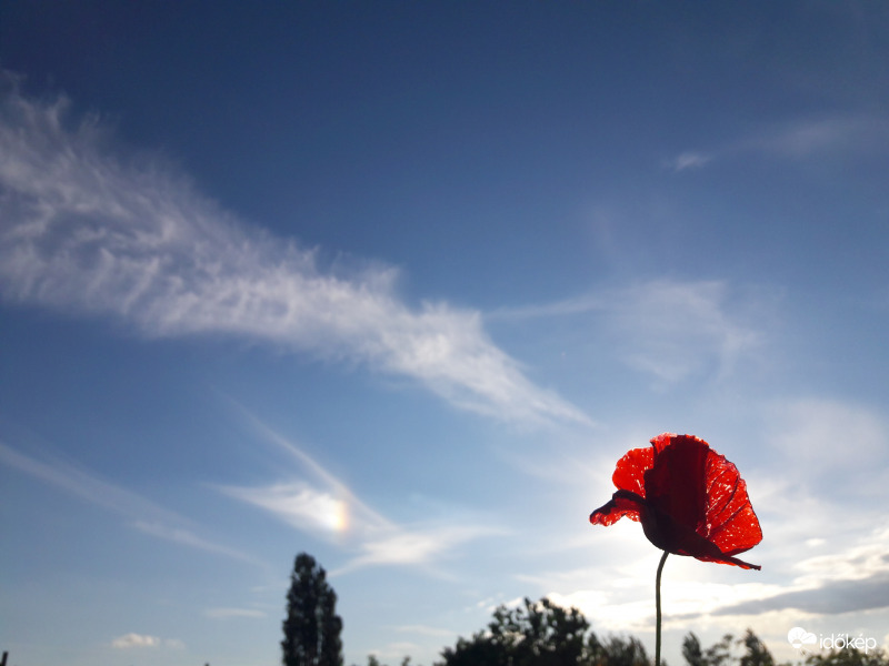 Melléknap Császáron