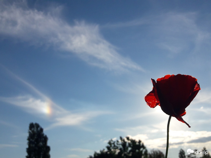 Melléknap Császáron