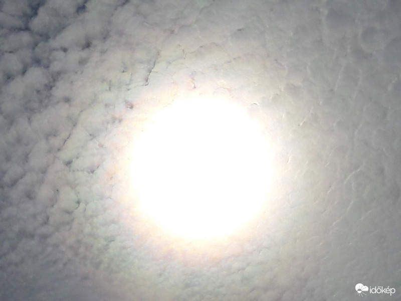 Napkoszorú Császáron