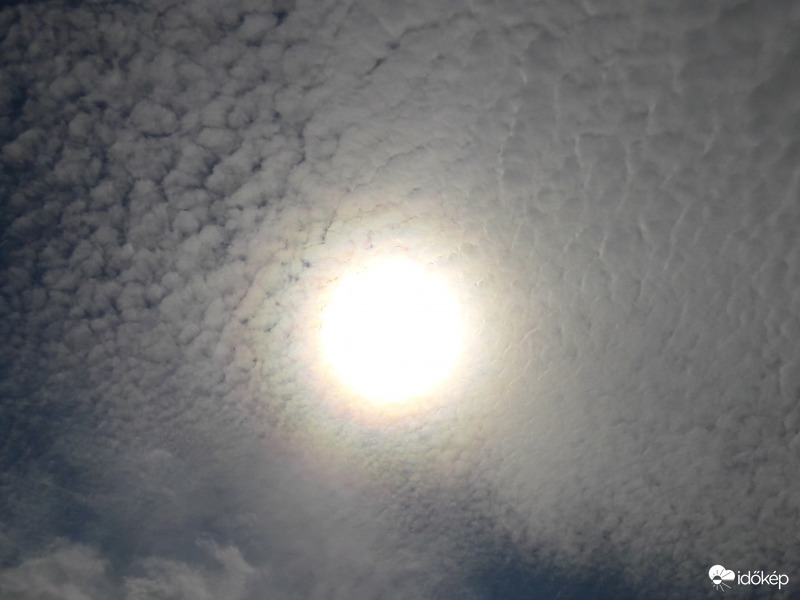 Napkoszorú Császáron