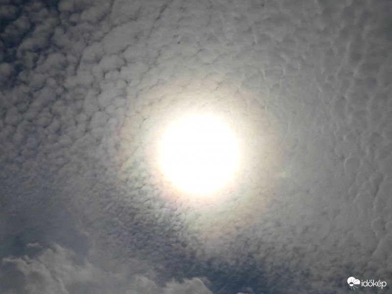 Napkoszorú Császáron