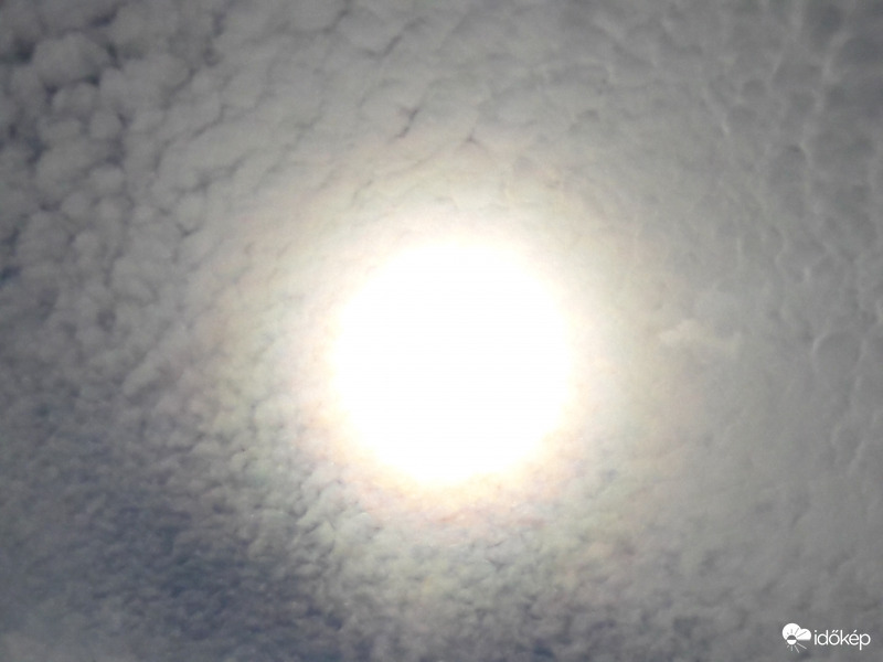 Napkoszorú Császáron