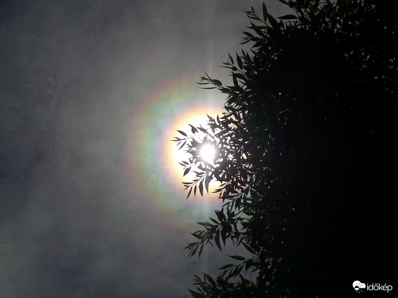 Napkoszorú Császáron