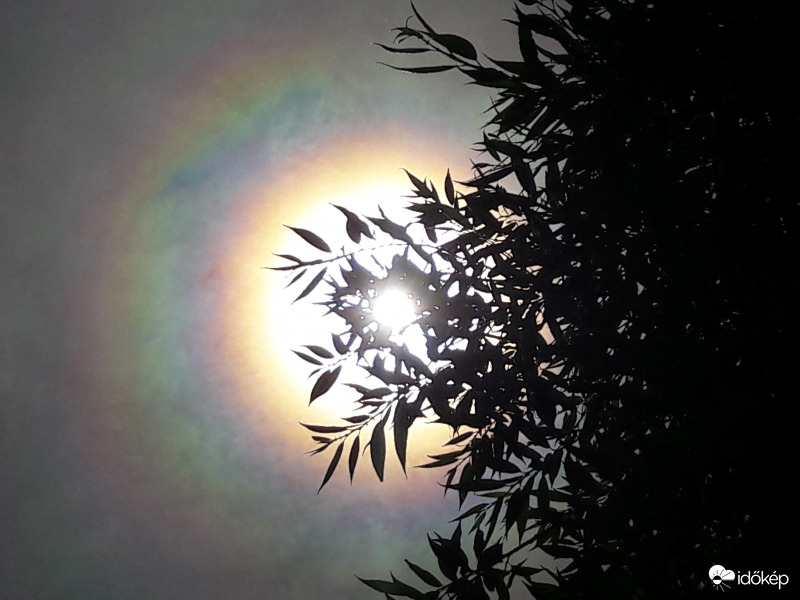 Napkoszorú Császáron