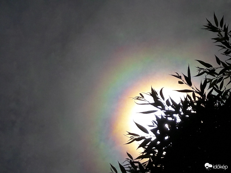 Napkoszorú Császáron