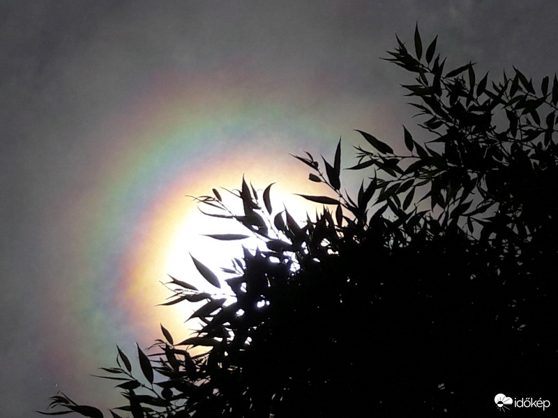 Napkoszorú Császáron