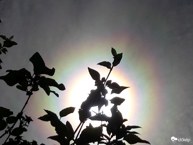 Napkoszorú Császáron