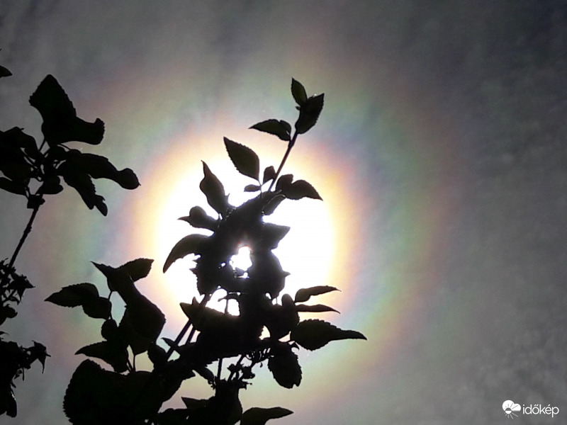 Napkoszorú Császáron