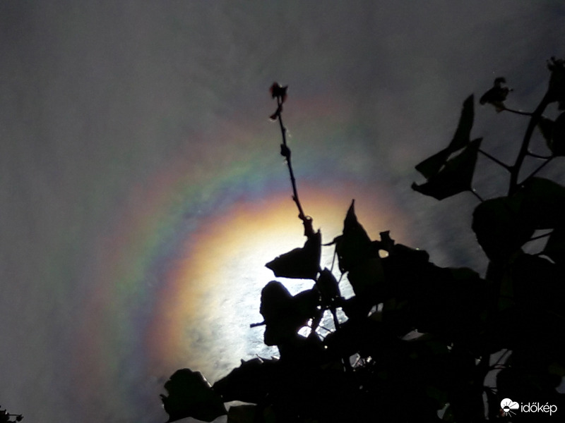 Napkoszorú Császáron