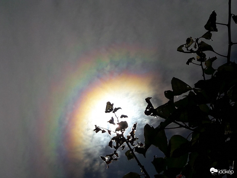 Napkoszorú Császáron