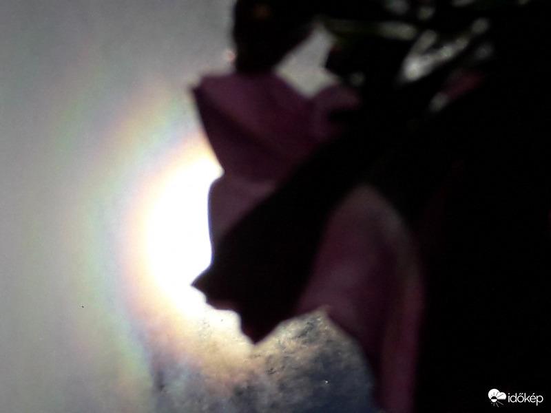 Napkoszorú Császáron