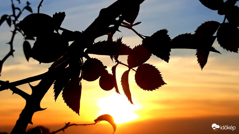 Naplemente fátyolosan!