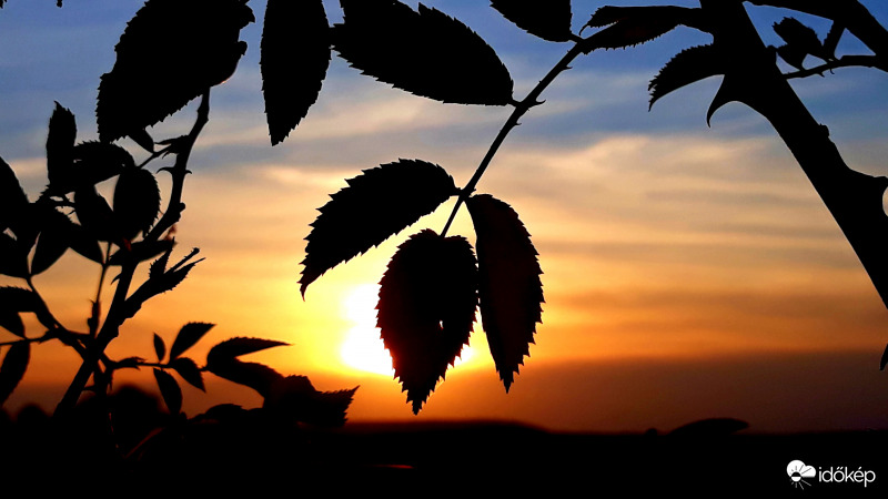 Naplemente fátyolosan!