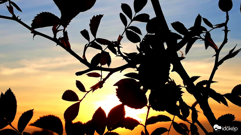 Naplemente fátyolosan!