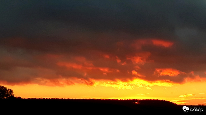 Naplemente borongósan