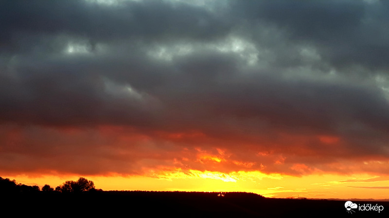 Naplemente borongósan