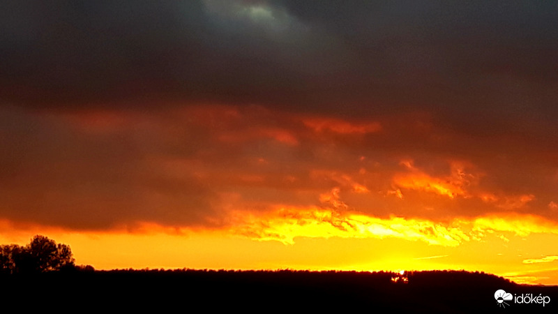 Naplemente borongósan