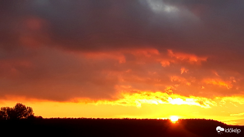 Naplemente borongósan