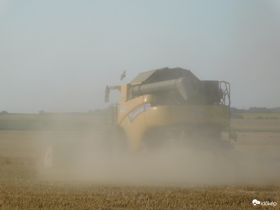 Elkezdődött a kalászosok betakarítása