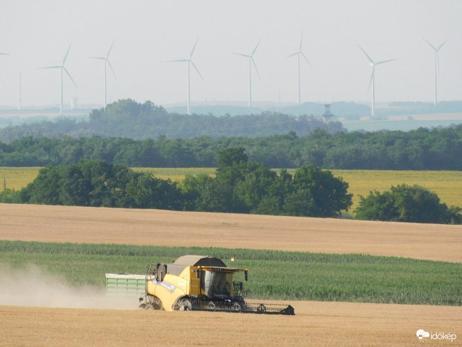Elkezdődött a kalászosok betakarítása