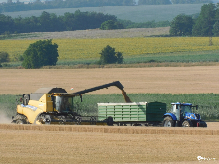 Elkezdődött a kalászosok betakarítása