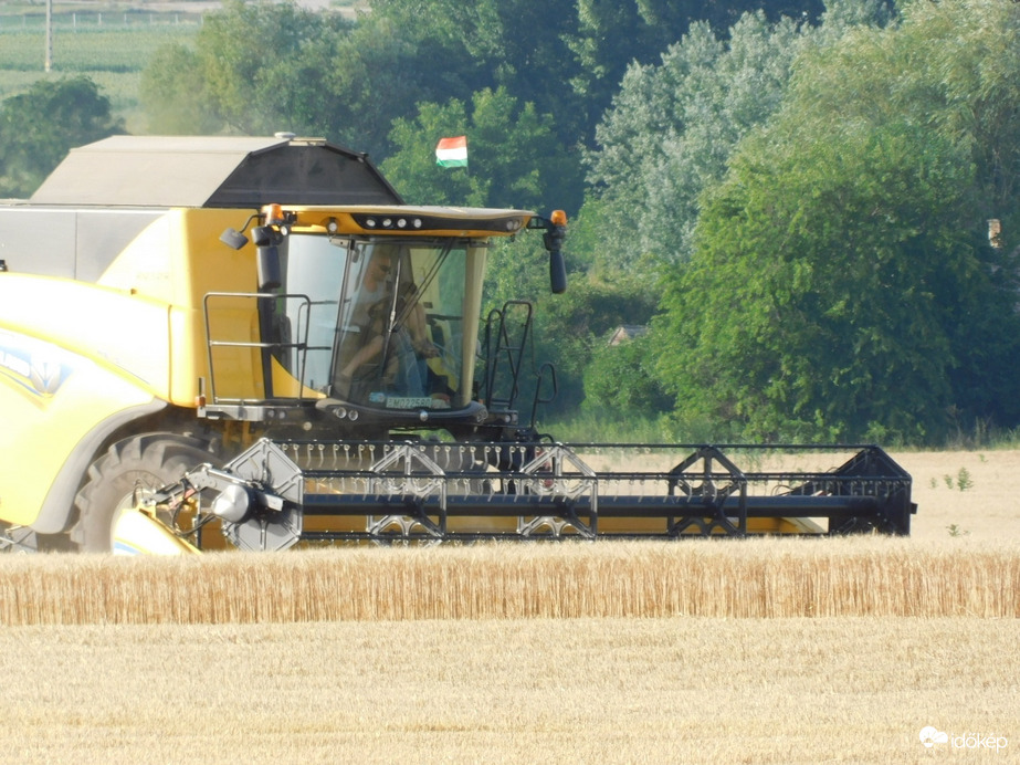 Elkezdődött a kalászosok betakarítása