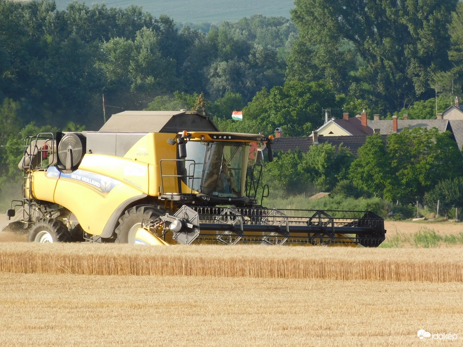 Elkezdődött a kalászosok betakarítása