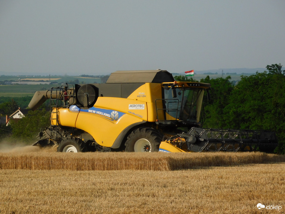 Elkezdődött a kalászosok betakarítása