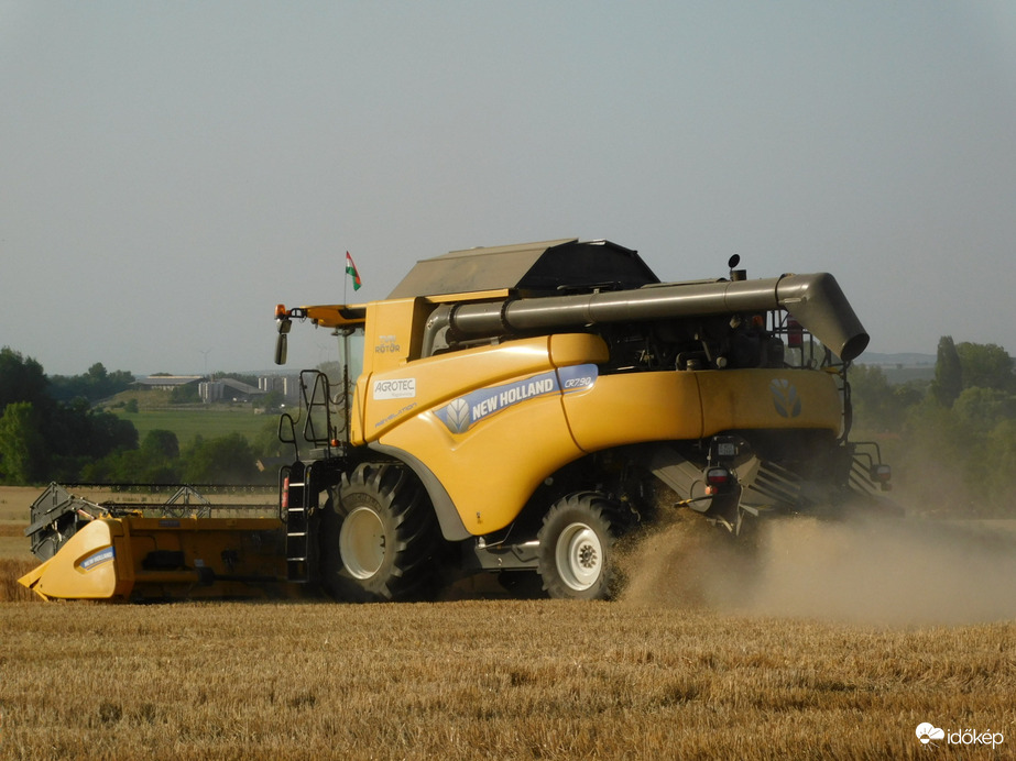 Elkezdődött a kalászosok betakarítása